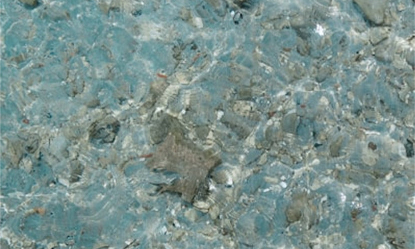 Ocean Minerals