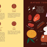 Elemental: Nature-Inspired Rituals to Nourish Your Life